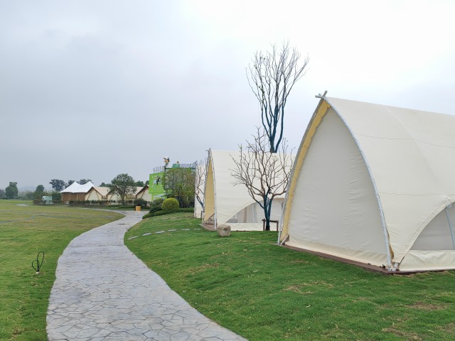 IMG_20240920_100258.jpg