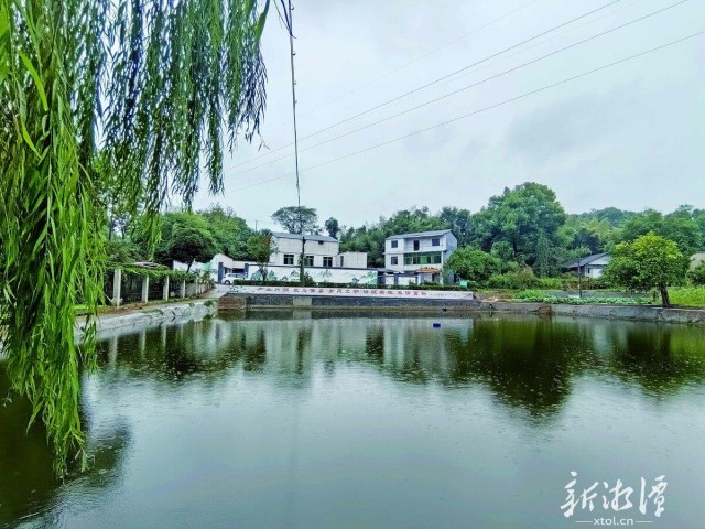 600-xxt2024-10-22～1｜乡风文明的红旗村美如画。（本报记者 李容容 摄）1324.jpg