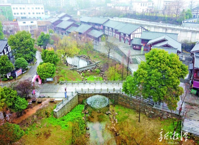 600-xxt2025-03-05～1｜早春时节，整治完成后的唐兴桥泵站湘江排渍口，风景优美，草木复苏，生机勃发。（本报记者 陈旭东 摄）a12d.jpg