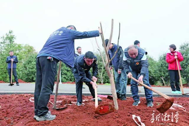 600-xxt2025-03-12～1｜ecc8.jpg