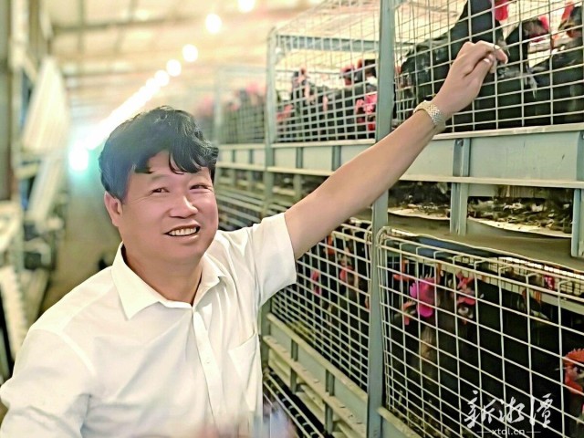 600-xxt2025-05-21～1｜为立华牧业代养的一批肉鸡即将出栏，魏伍林非常开心。（本报记者 白杨 摄）b250.jpg